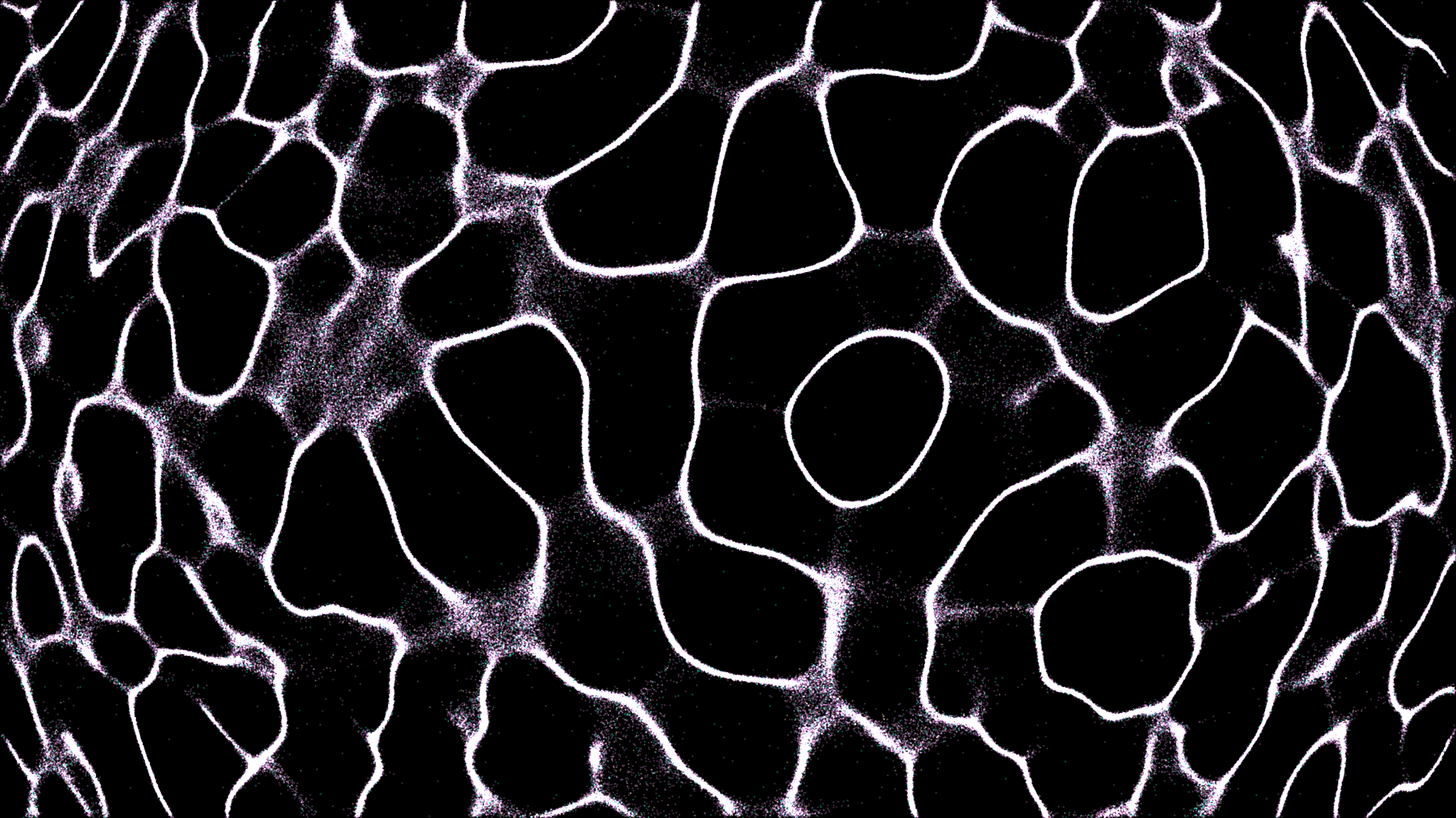 Hyperstitions: How Shared Beliefs Shape Onchain Realities