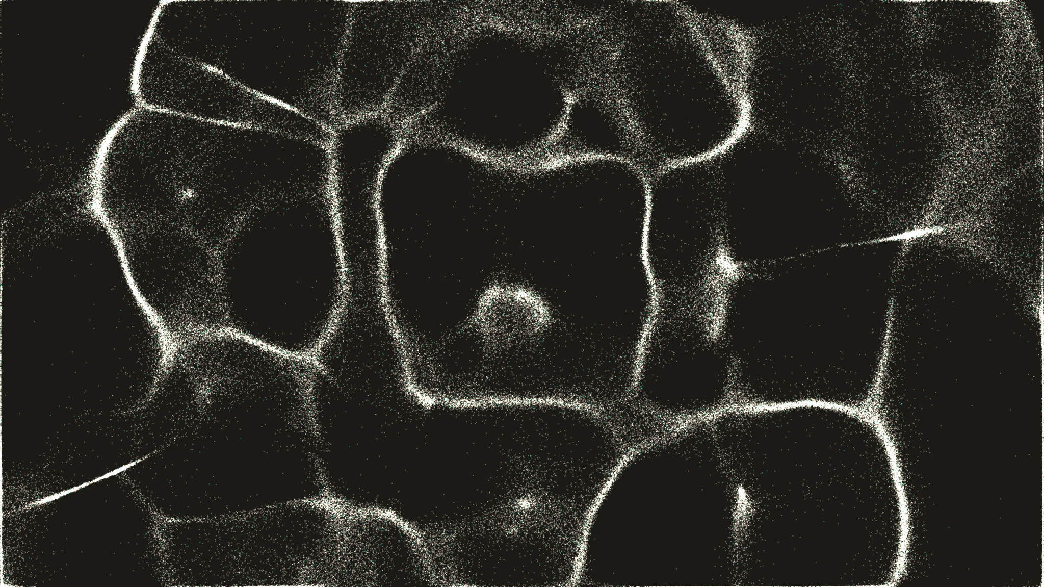 Sybil Resistance & Identity